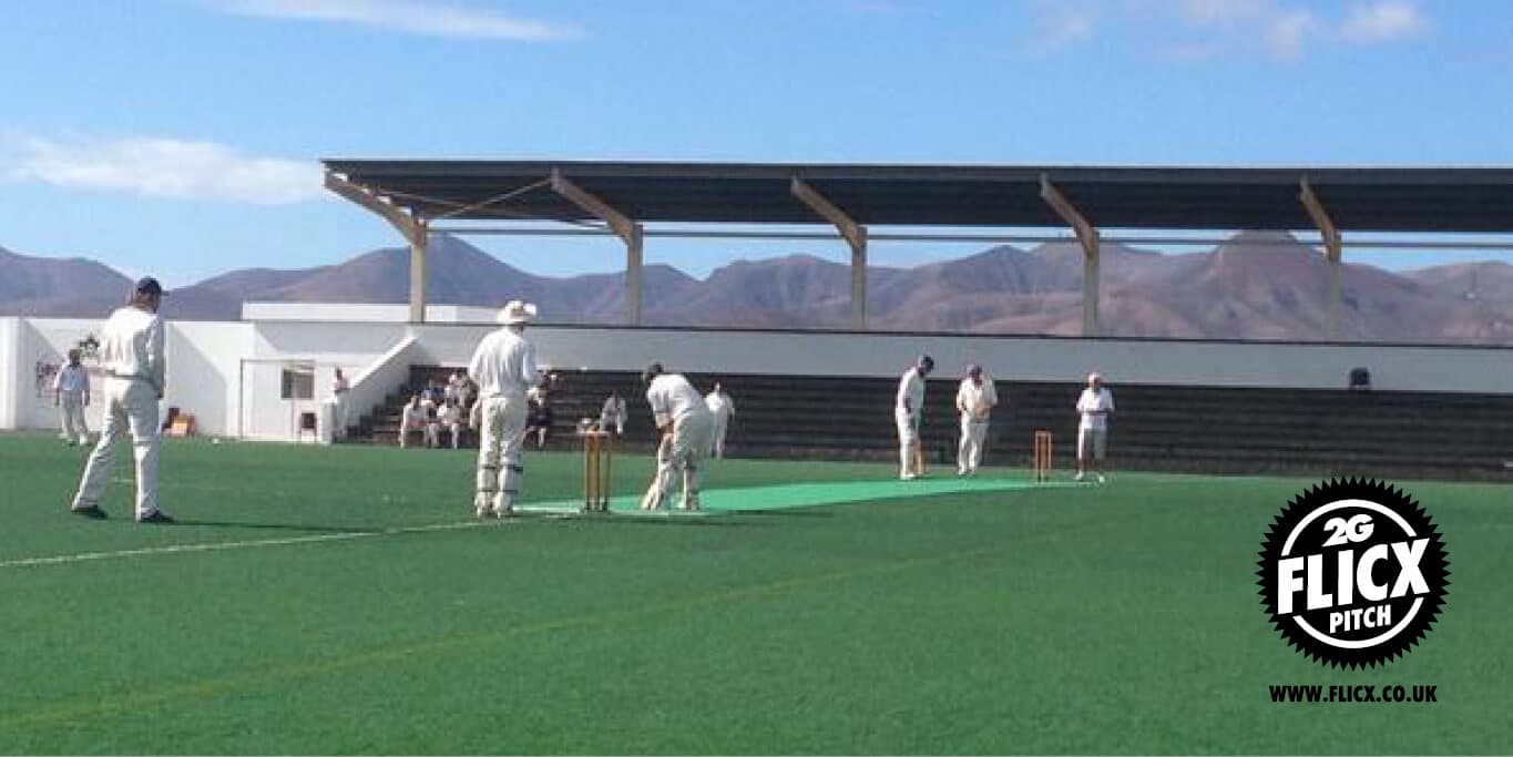 Cricket in Lanzarote