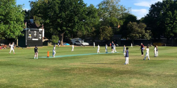 Junior Cricket on a Flicx Pitch - Beckenham