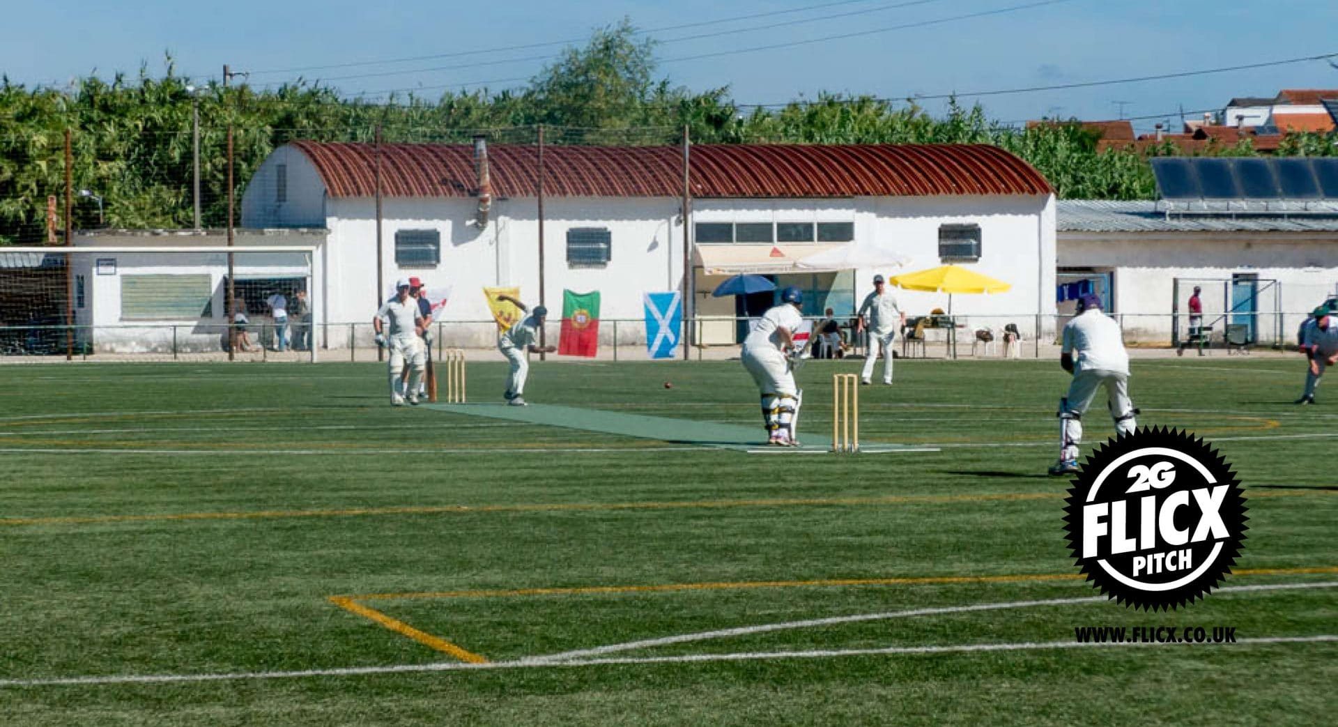 Cricket on an artificial pitch
