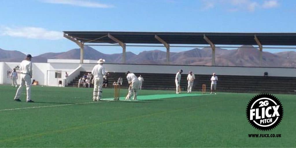 Cricket in Lanzarote